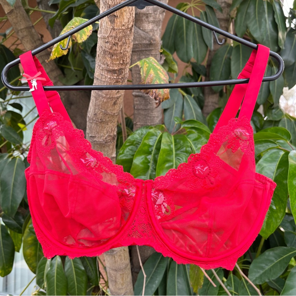 Simone Perele lace sheer Bra in red .